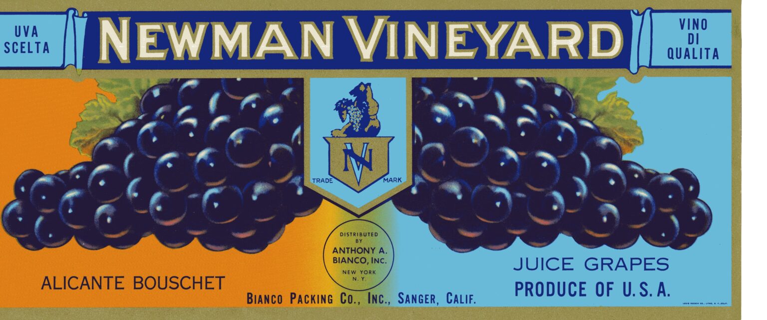 Newman Vineyard Newman Vineyard